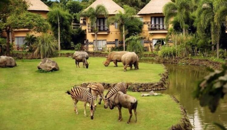 Bali Zoo Gianyar