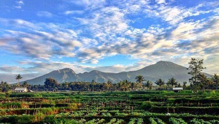 Desa Tetetbatu Lombok Tmiur.