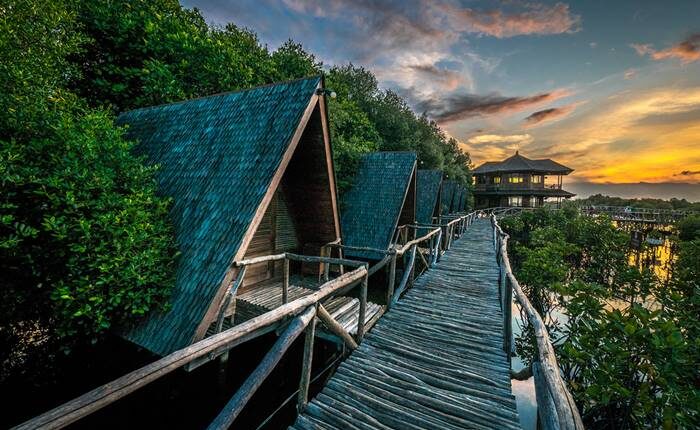 Mangrove di Jakarta