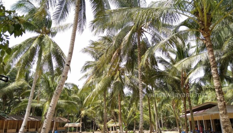 Desa Wisata Pandang Tak Jemu Batam