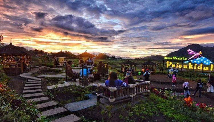 Cafe Sawah Desa wisata Pujon Kidul di Jalur Batu-Kediri, Batu, Jawa Timur