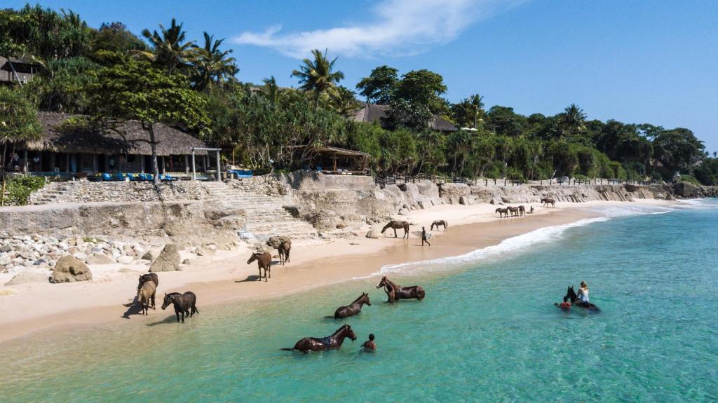 Surrounding area in Hotel Nihi Sumba