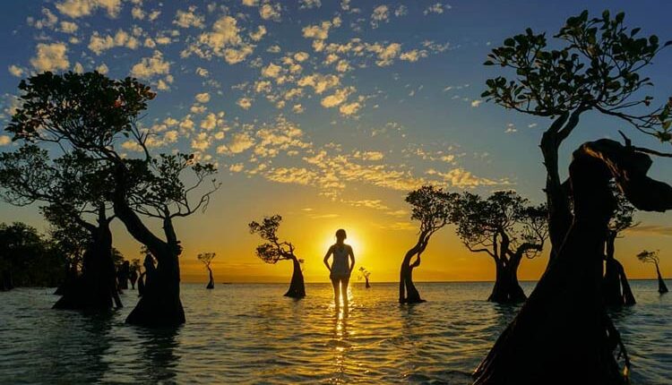 Sumba NTT