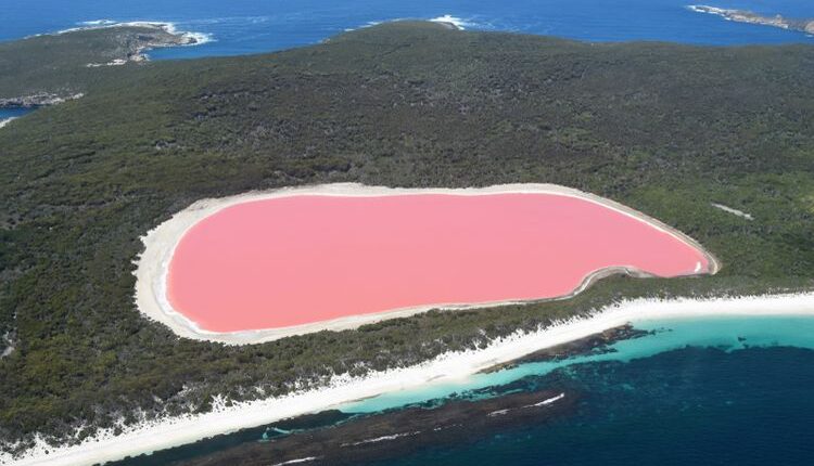 Danau Hillier, danau berwarna merah muda(Shutterstock)