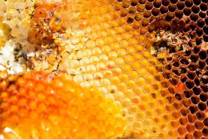 ©Shutterstock/tanakornsar