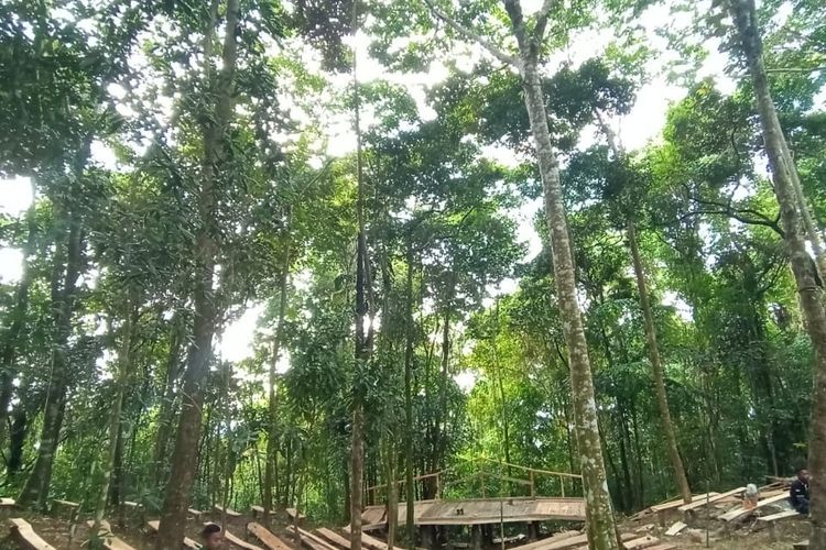 Foto : Wae Bobok, spot wisata yang terletak di Desa Tanjung Boleng, Kecamatan Boleng, tepat di pinggir jalan Labuan Bajo-Terang(Kompas.com/Nansianus Taris)