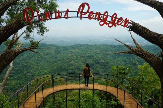 Hutan Pinus Pengger, Yogyakarta. Foto: arie widiastuti yoana/Shutterstock
