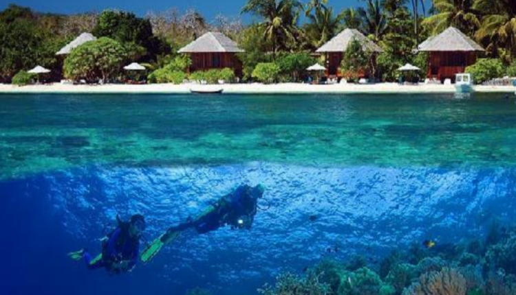 Ilustrasi-Kawasan laut Pulau Wakatobi