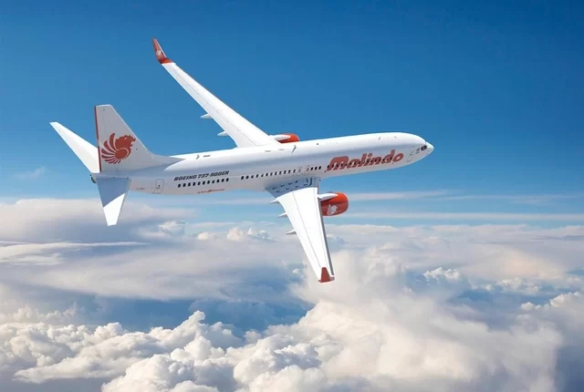 Ilustrasi pesawat Malindo Air Foto: Dok. Malindo Air