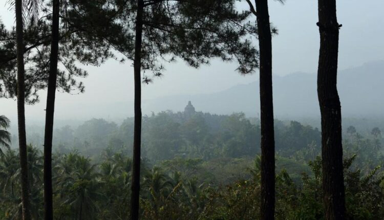 Pemandangan Candi Borobudur terlihat dengan jelas dari Plataran Borobudur (Foto: doc booking.com)