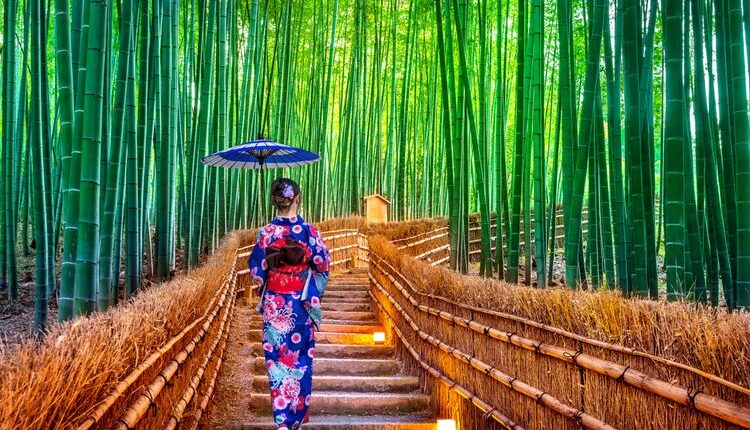 Arashiyama Bamboo Forest, wisata populer di Kyoto, Jepang. (SHUTTERSTOCK/GUITAR PHOTOGRAPHER)