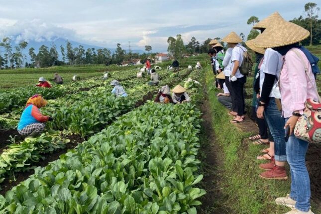 Edutrip di Kampung Naga, Tasikmalaya, serta Desa Wisata Saung Ciburial, Garut (Foto: Kemenparekraf)