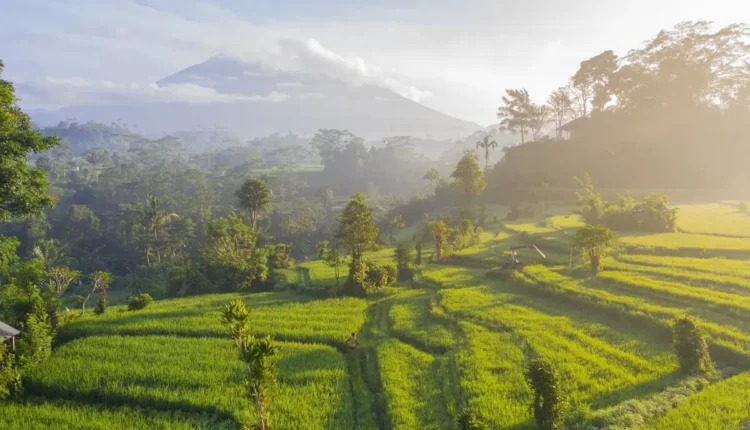 Mount Agung in the sunrise, Sidemen, Bali, Indonesia. Photo by Cassie Gallegos