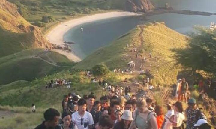 Sejumlah wisatawan membludak di puncak pulau Padar, Kawasan Taman Nasional Komodo. ANTARA/Ho-Robert Waka