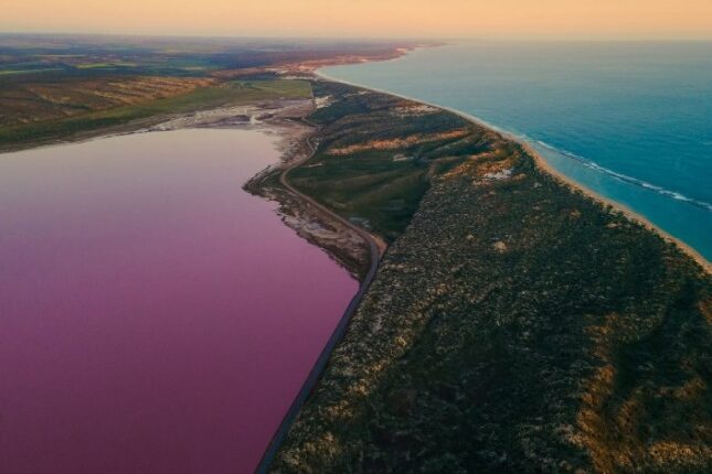 Ilustrasi Pink Lake (Danau garam di wilayah Goldfields-Esperance di Australia Barat)