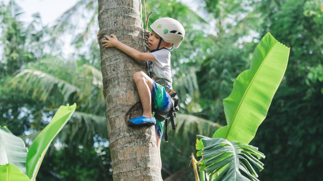 seorang anak berusaha memanjat pohon kelapa pada Kegiatan Green Camp AYANA di AYANA Bali. Foto: Dok. Ayana Resort and Spa Bali