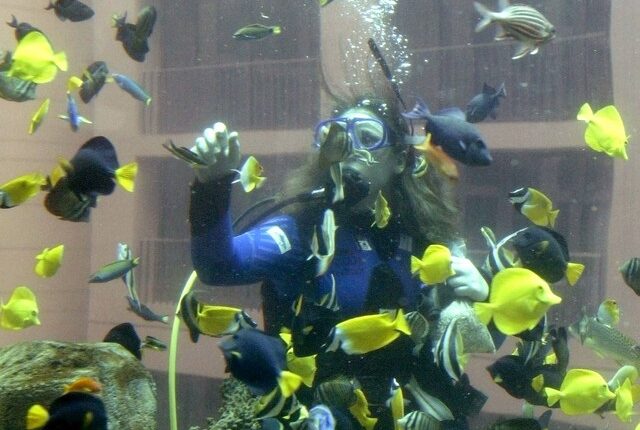 Akuarium AquaDom sebelum pecah di Berlin, Jerman. Foto: Fabrizio Bensch/REUTERS