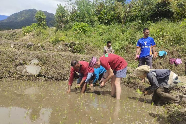 Wisata agrowisata diperkenalkan kepada turis mancanegara yang berwisata di Desa Wisata Golo Loni, Kecamatan Ranamese, Manggarai Timur, NTT, Sabtu, (7/1/2023). (KOMPAS.com/DOK KADES GOLO LONI-YOHANES BERSMANS OKALUNG)(KOMPAS.COM/DOK KADES GOLO LONI-YOHANES BERSMANS OKALUNG)