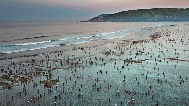 Suasana Festival Pesona Bau Nyale 2019 yang dihadiri ribuan warga dan wisatawan di pantai Seger Kawasan Ekonomi Khusus (KEK) Mandalika yang dikelola oleh Indonesia Tourism Development Corporation (ITDC) di Kuta, Praya, Lombok Tengah, NTB, Senin, 25 Februari 2019. Selain di Lombok, tradisi ini juga digelar di Sumba Barat. ANTARA