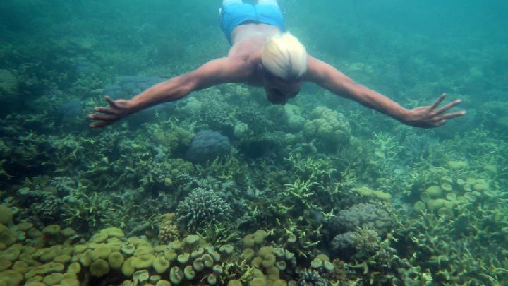 Wisatawan menikmati keindahan bawah laut di perairan Pulau Hoga, Wakatobi, Sulawesi Tenggara, Ahad, 11 Desember 2022. Wakatobi memiliki sejumlah titik wisata bawah laut yang menarik wisatawan lokal maupun mancanegara diantaranya di perairan Pulau Wangi-Wangi, Kaledupa, Tomia, Hoga, dan Binongko. ANTARA/Indrianto Eko Suwarso