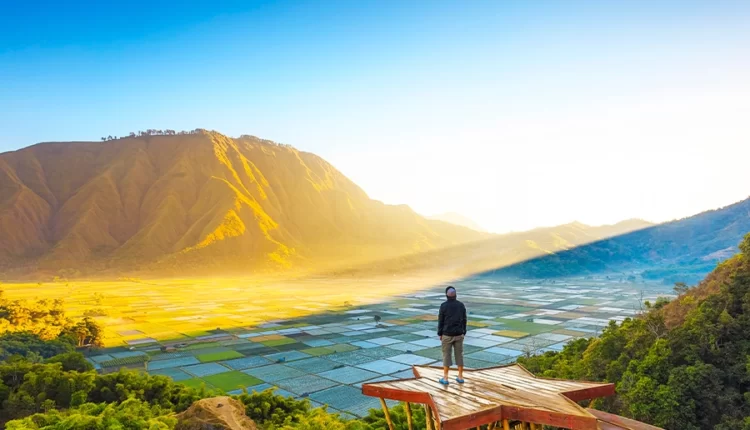 Wisata aalam di Lombok Foto: Tiket.com