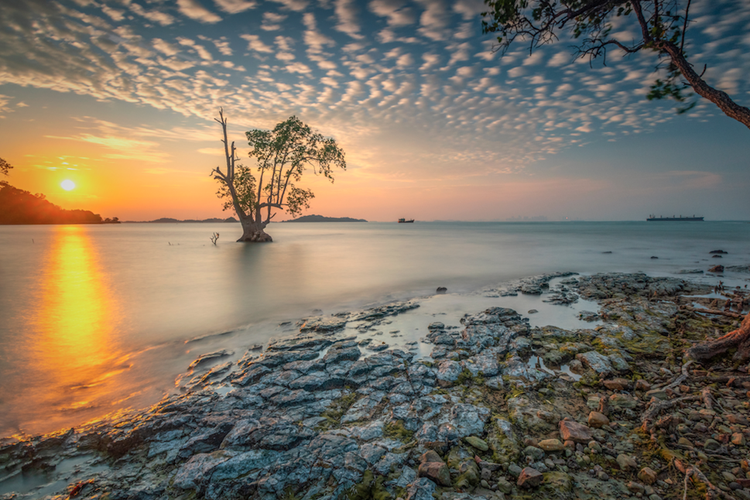 Pantai Tanjung Pinggir(Shutterstock)