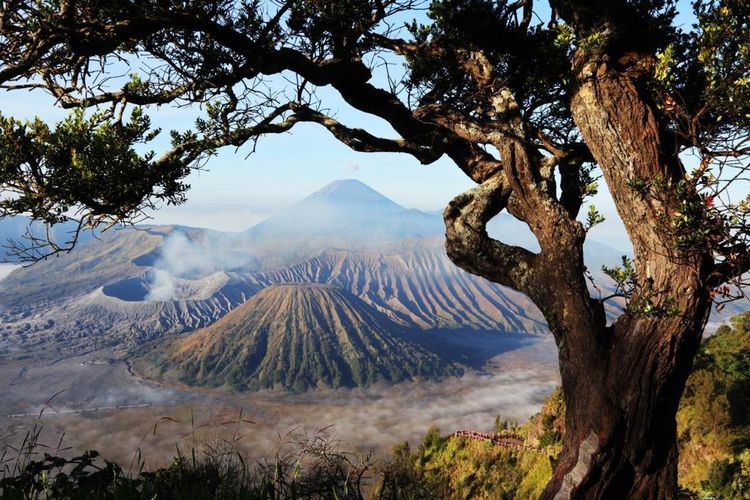 Ilustrasi Taman Nasional Bromo Tengger Semeru.(Dok. Kementerian Pariwisata dan Ekonomi Kreatif)