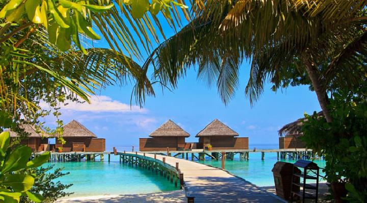 Pulau Veligandu Maladewa (Pixabay)