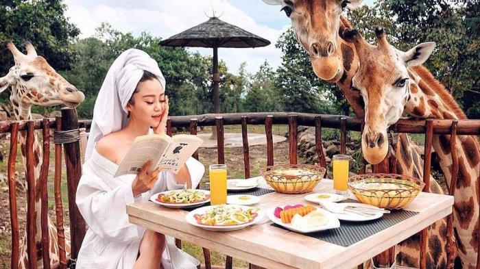 Suasana Afrika akan langsung terasa ketika memasuki Baobab Safari Resort, Prigen, Pasuruan. Instagram/@baobab.safariprigen