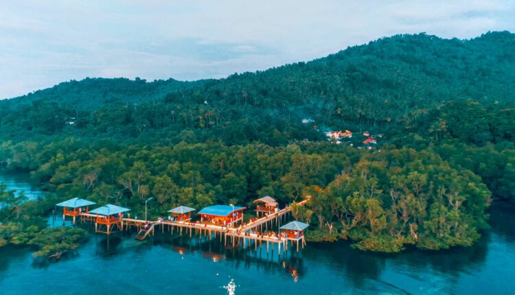 Hutan Mangrove Desa Budaya Budo Sulawesi Utara Foto: pergiyuk.com