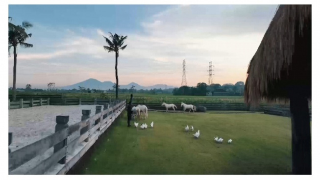 Bali ala Swiss hanya 15 Menit dari Canggu, Sajikan Pemandangan Gunung Batukaru (Lodgeinthewoods)