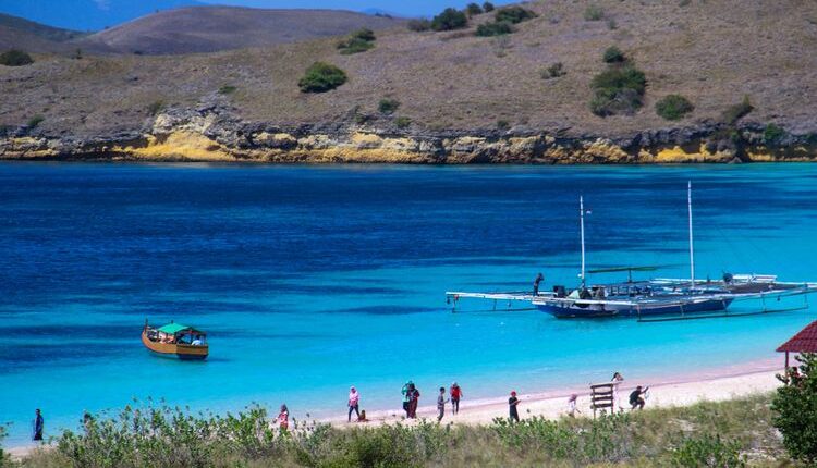 Pantai Pink di Bima, NTB(Shutterstock/Syafrudin Mtop)