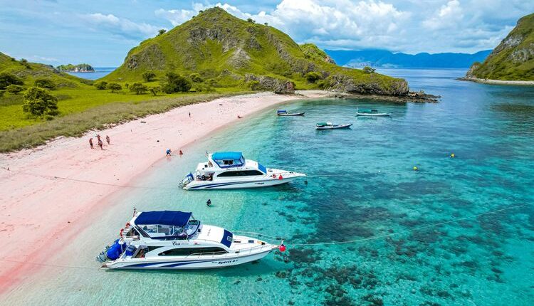 Ilustrasi Pink Beach di Nusa Tenggara Timur (NTT).(Dok. Unsplash/Aruka Death)