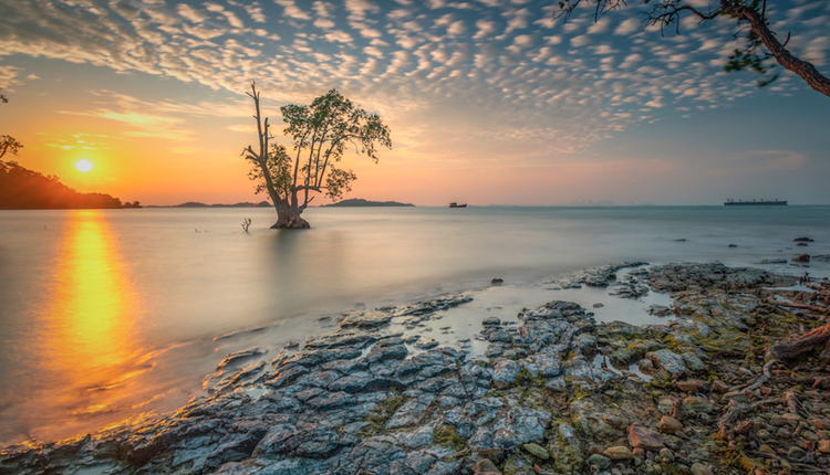 Ilustrasi Pantai Tanjung Pinggir di Sekupang, Batam, Kepulauan Riau.(Dok. Shutterstock/edyvh)