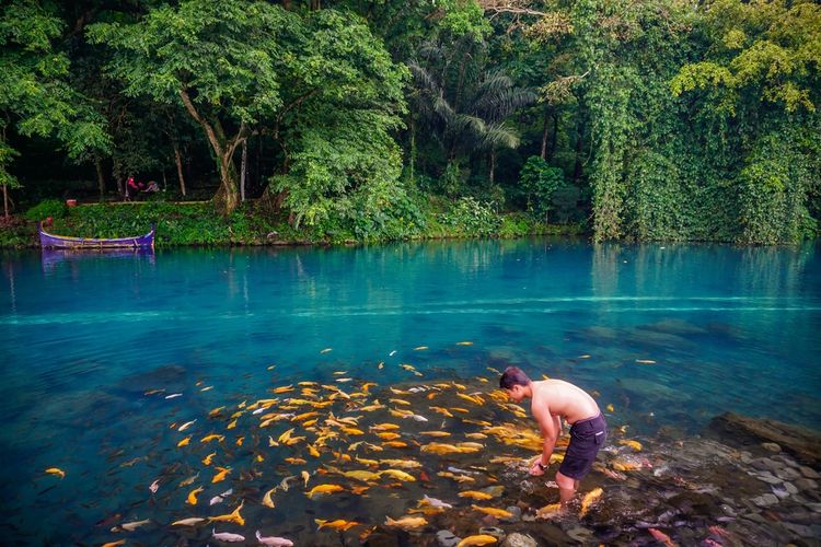 Situ Cipanten di Majalengka, Jawa Barat(Shutterstock/Habib Farindra )