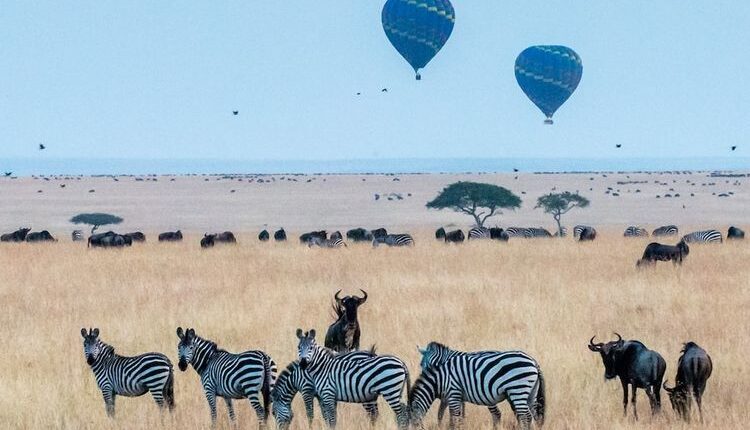 Maasai Mara National Reserve di Narok County, Kenya.(SHUTTERSTOCK/SUTIRTA BUDIMAN)
