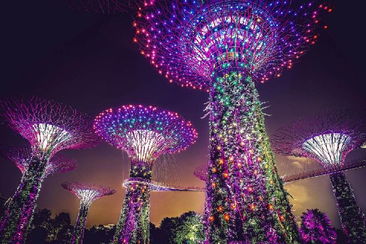 Selain Marina Bay Sands dan Gardens By The Bay, ada lagi 5 destinasi wisata Singapura murah yang bisa Anda kunjungi. Berikut ini daftarnya. Foto: Canva