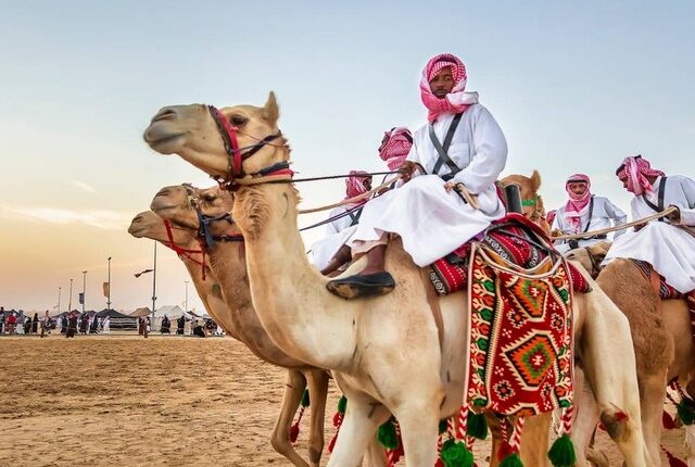 Ilustrasi festival unta di Arab Saudi. Foto: AFZAL KHAN MAHEEN/Shutterstock