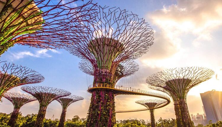 Suasana di deck Supertree Grove, Gardens by the Bay Singapura.(SITUS GARDENS BY THE BAY)