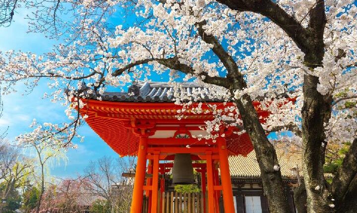 Ilustrasi tempat wisata di Jepang. Foto: Canva