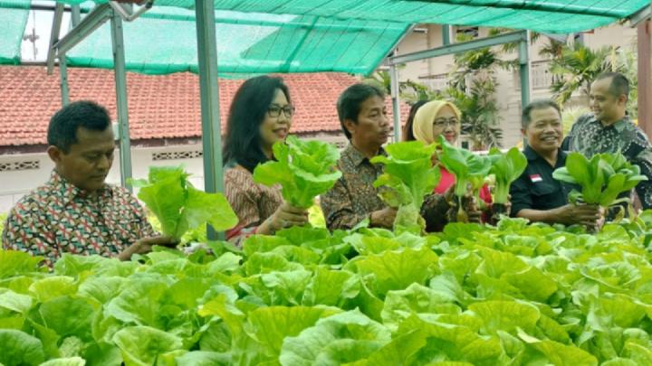 Hotel ini memanfaatkan area terbatas agar memiliki sudut hijau di tengah padatnya Kota Yogyakarta foto: Tempo