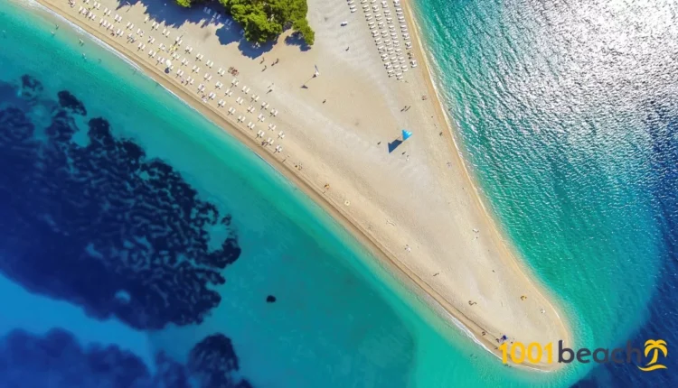 Zlatni Tikus pantai foto: 1001beach.com