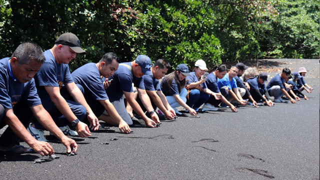 Kegiatan pelepasan tukik yang dilaksanakan Hotel Aryaduta Manado bersama dengan BKSDA Sulawesi Utara pada peringatan Hari Bumi tahun 2025.