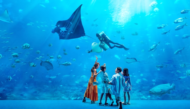 Singapore Oceanarium foto: singapore-tickets.com