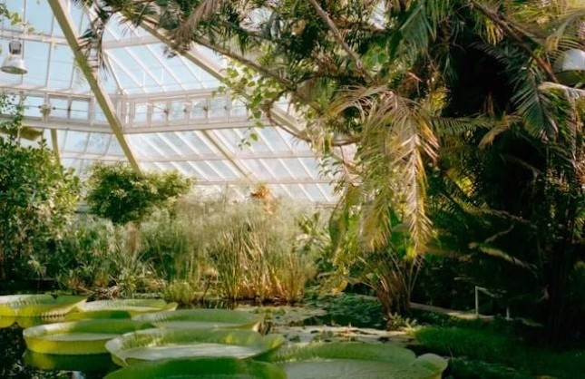 Botanic Gardens Jababeka