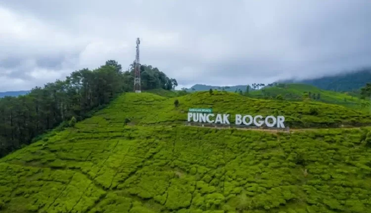 ILUSTRASI: Prakiraan cuaca Megamendung Puncak Bogor (Foto: Unsplash/Ammar Andiko)