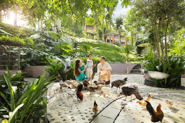 Animal Garden. Foto: dok. Padma Resort Ubud.