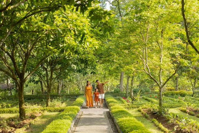 Menjelajah alam dengan pengalaman agroforestri. Foto: dok. Padma Resort Ubud.
